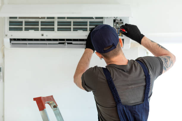 Best Air Vent Cleaning Services  in Winnebago, MN