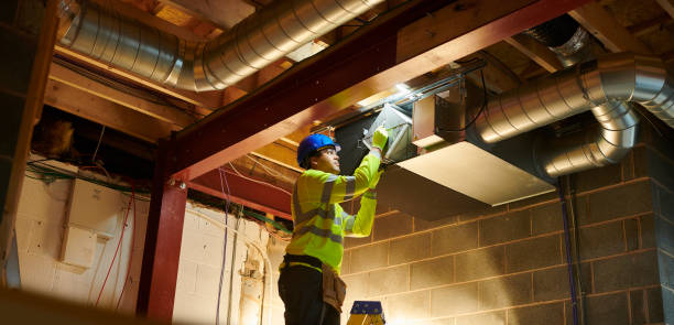 Best Professional Duct Cleaning Services  in Winnebago, MN