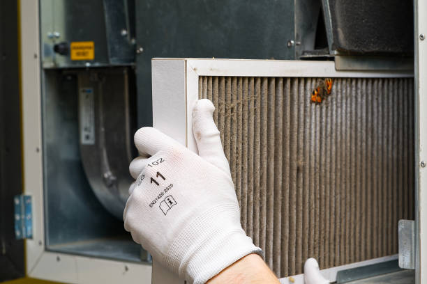 Best Air Duct Cleaning Near Me  in Winnebago, MN