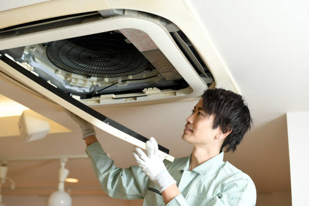 Best HVAC Duct Inspection Services  in Winnebago, MN