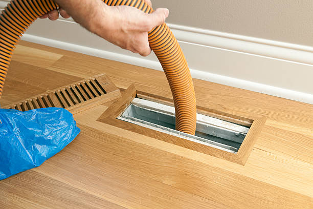 Best HVAC Air Duct Cleaning  in Winnebago, MN